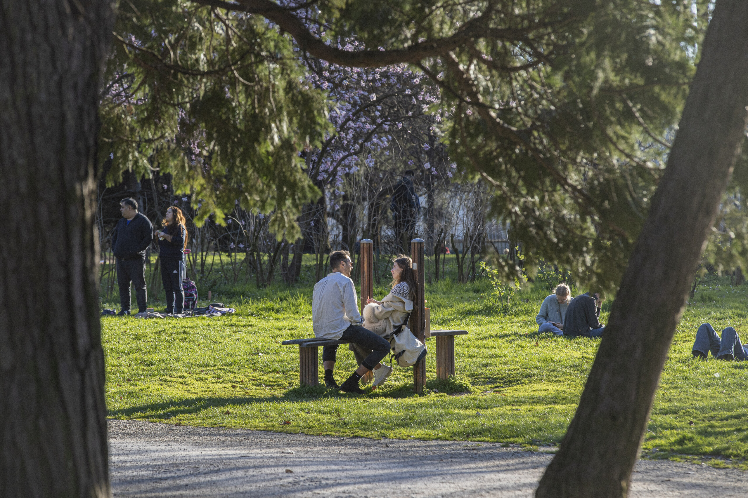 Climate, Copernicus-WMO: "Europe is warming increasingly rapidly" Climate, Copernicus-WMO: "Europe is warming increasingly rapidly"