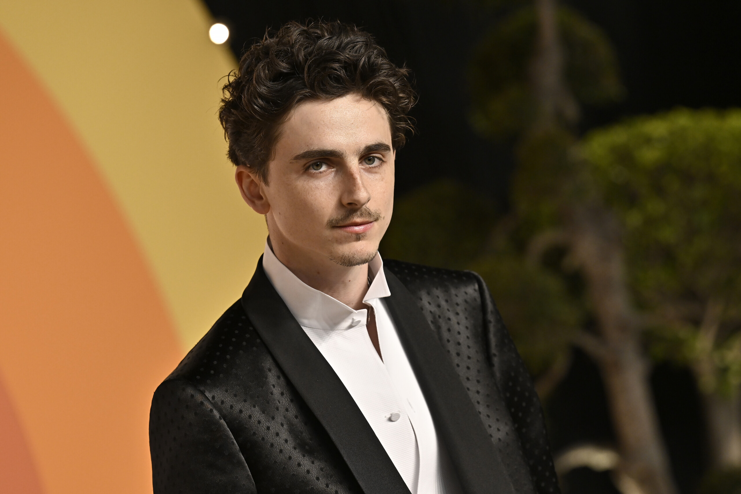 David di Donatello: Timothée Chalamet will receive the Special Award