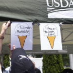 Ice Cream: Production Rises in the Eurozone by 2%