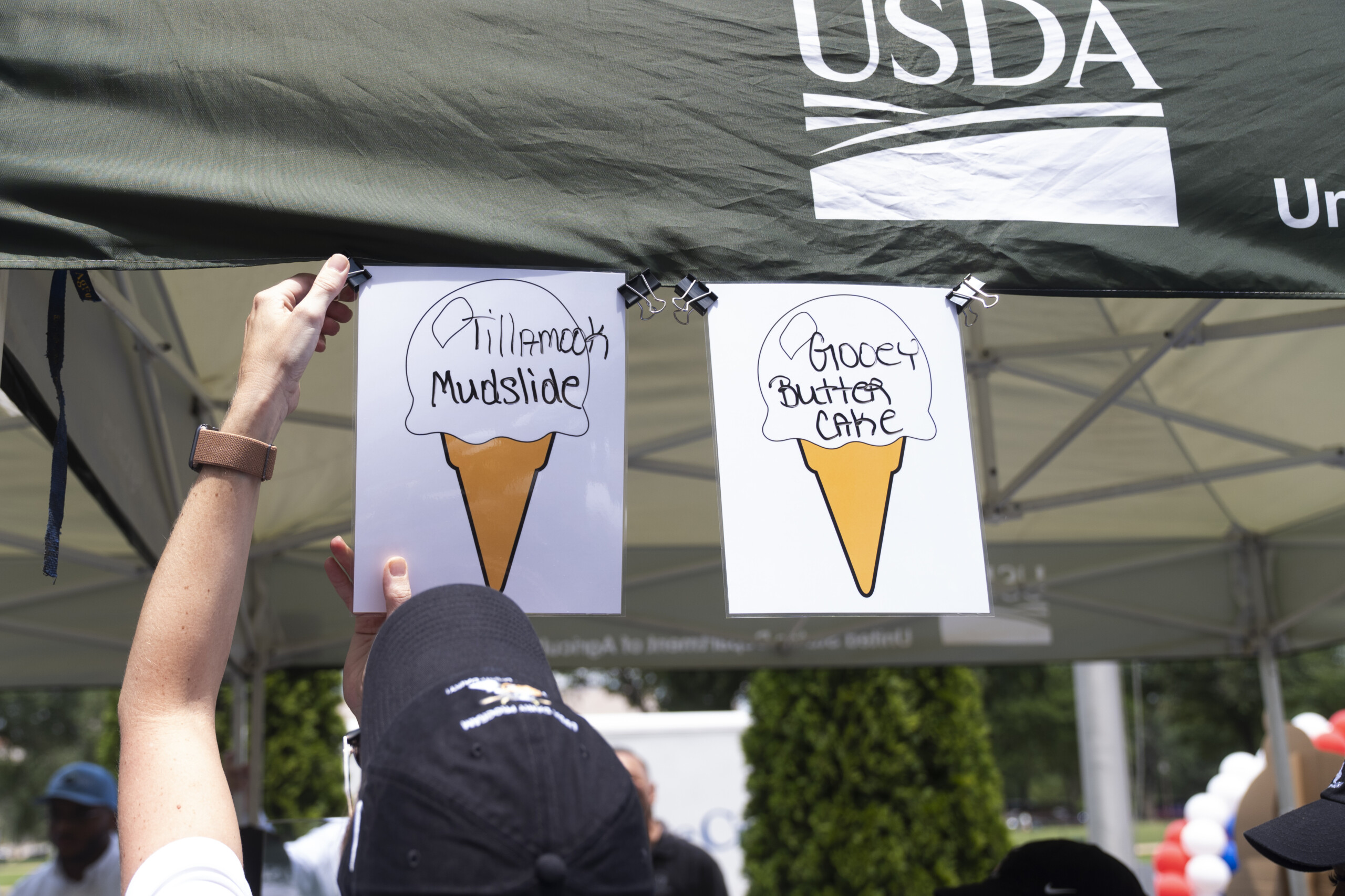 Ice Cream: Production Rises in the Eurozone by 2%