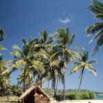 Inflation, Codacons: ‘Holiday prices hit hard, +38.7% for flights and +19.6% for ferries’