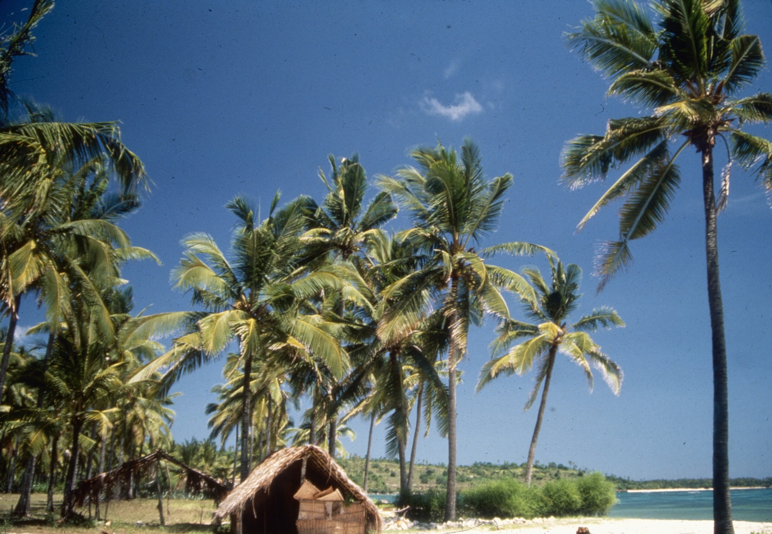 Inflation, Codacons: ‘Holiday prices hit hard, +38.7% for flights and +19.6% for ferries’