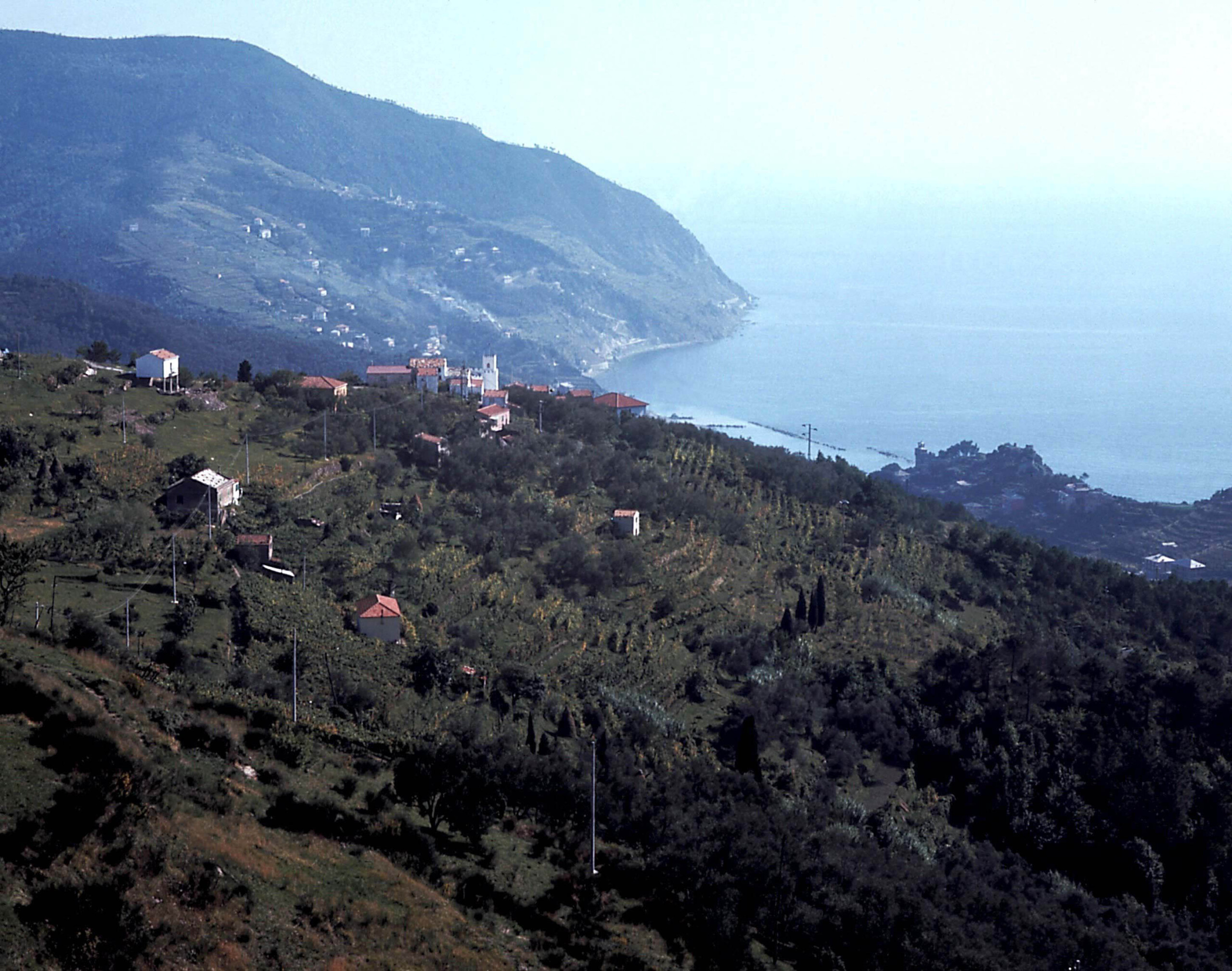 New Legambiente report: ‘Coastline violated by 28 crimes a day’