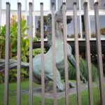 Rai: the Board of Directors gives the green light to the appointment of directors and genres