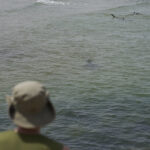 The Mediterranean is now tropical, warming more than any other sea