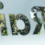 TV, Rai ratings: over 4.5 million viewers for “Affari tuoi”, nearly 30% share