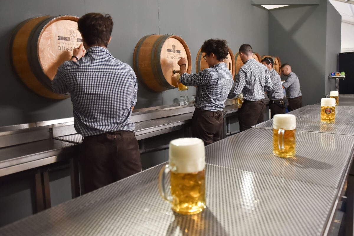 Summer: Coldiretti, “beer tourism” for 6 million Italians, boom in open hop fields