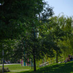 Climate, EU Presidency: ‘There is still work to be done on the 2040 target’