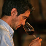 Eurispes: ‘Wine consumption down, red wines penalised’