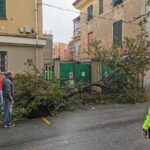 Bad weather: tornado in Genoa, overturned lorry and landslide in Pegli