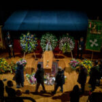 Ornella Vanoni: Gino Paoli’s tribute, yellow rose cushion