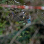 Anguillara: Federica Torzullo’s funeral this afternoon