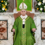 Health, Pope Leo XIV: ‘Wars that target hospitals are the most absurd attack on life’