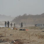 Save the Children, at least one hundred children die each year from Cutro