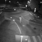 Verzeni murder: trial begins, victim’s family and defendant in court