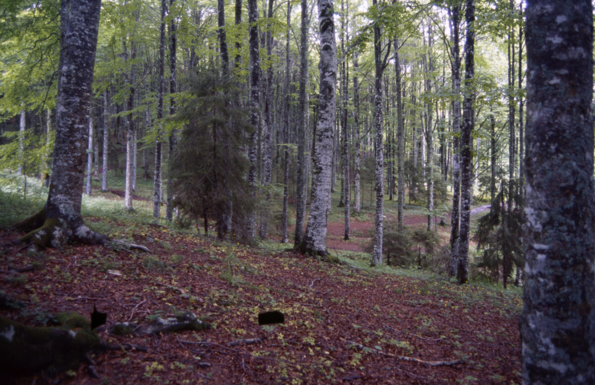 Bosco family, father: ‘I don’t want our children to leave Vasto, but I want an end to the police presence.’ Bosco family, father: ‘I don’t want our children to leave Vasto, but I want an end to the police presence.’