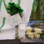 Bossi, at funeral in Pontida monastery only family, friends and guests