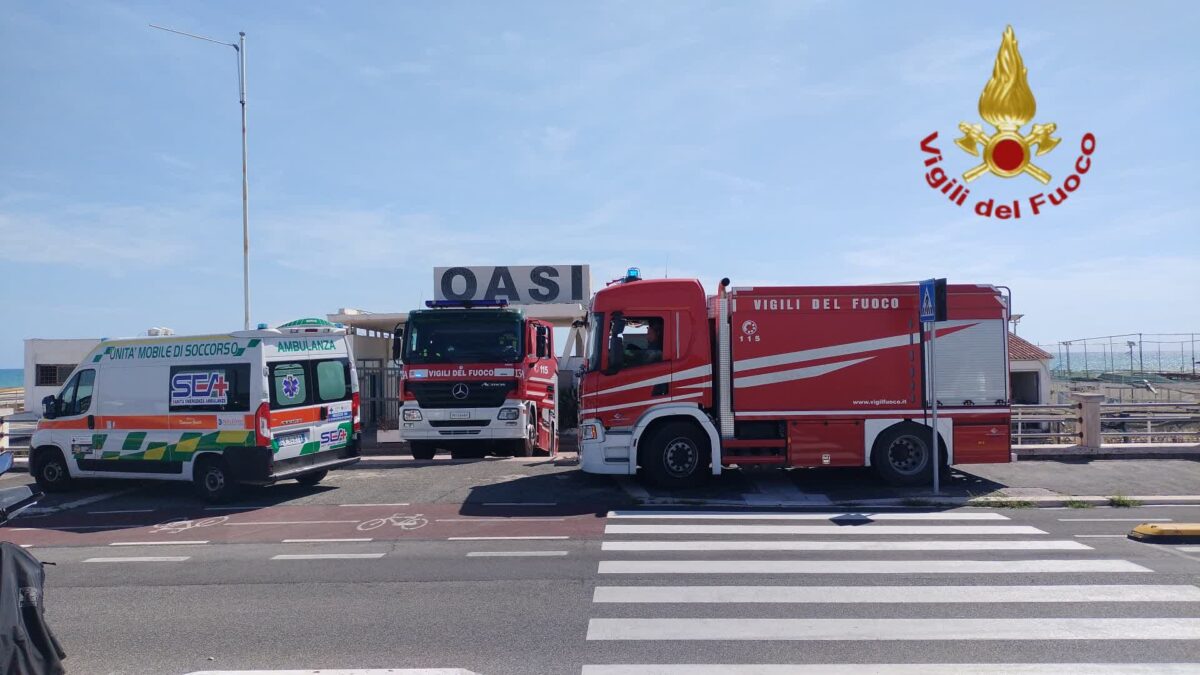 Rome: ‘Oasi’ beach establishment in Ostia on fire, arson not ruled out Rome: ‘Oasi’ beach establishment in Ostia on fire, arson not ruled out