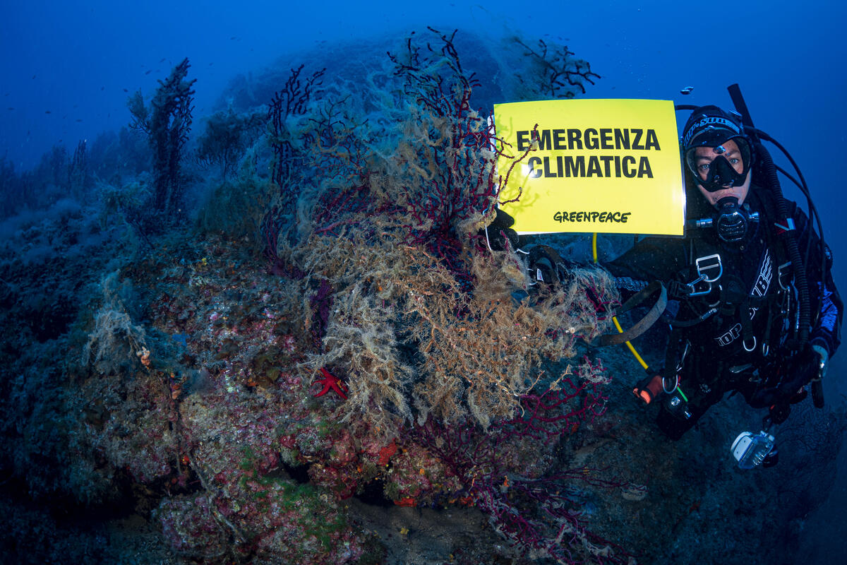 Climate: Copernicus reports record global sea surface temperatures in June