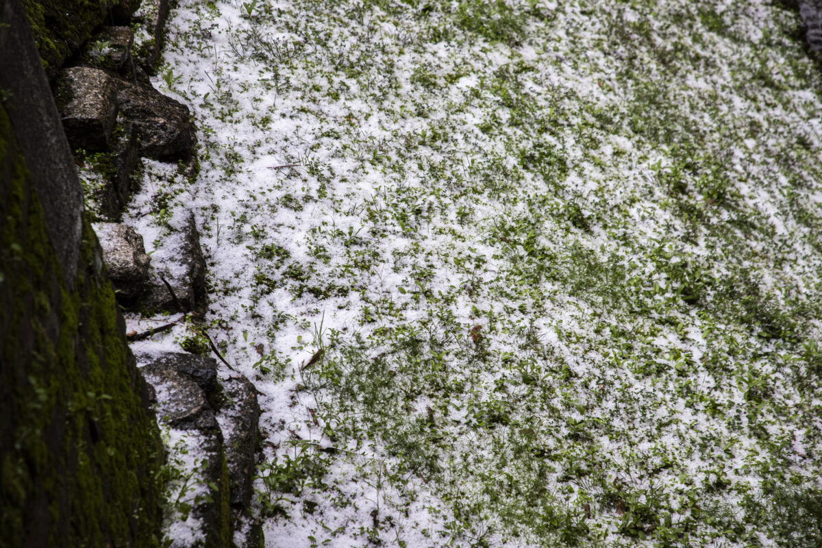 Coldiretti: “23 extreme weather events a day in June – a risk to agriculture”