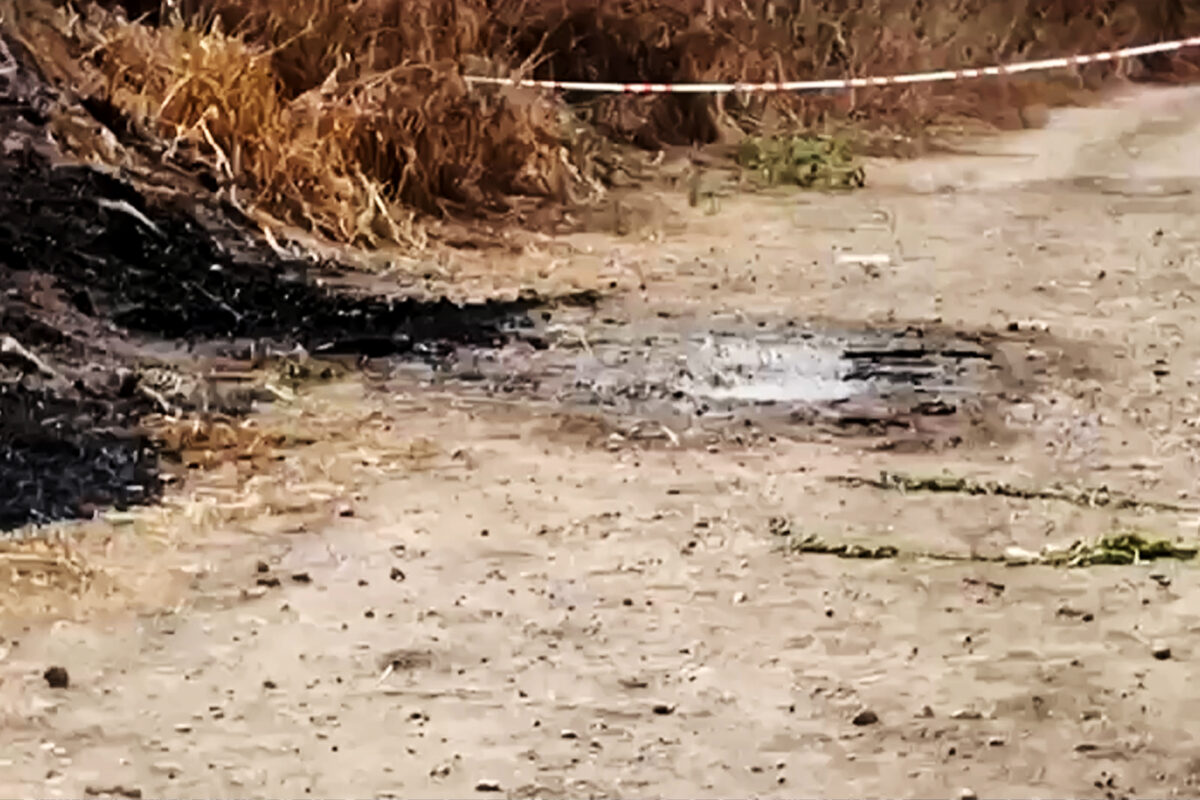 Journalist killed in Salerno, 26-year-old lawyer arrested: “The case requires further investigation” Journalist killed in Salerno, 26-year-old lawyer arrested: “The case requires further investigation”