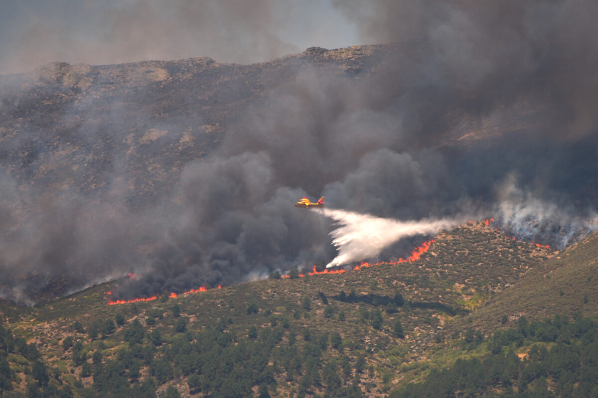 Wildfires: over 90,000 people evacuated or confined in Spain; Sánchez in Castellón today