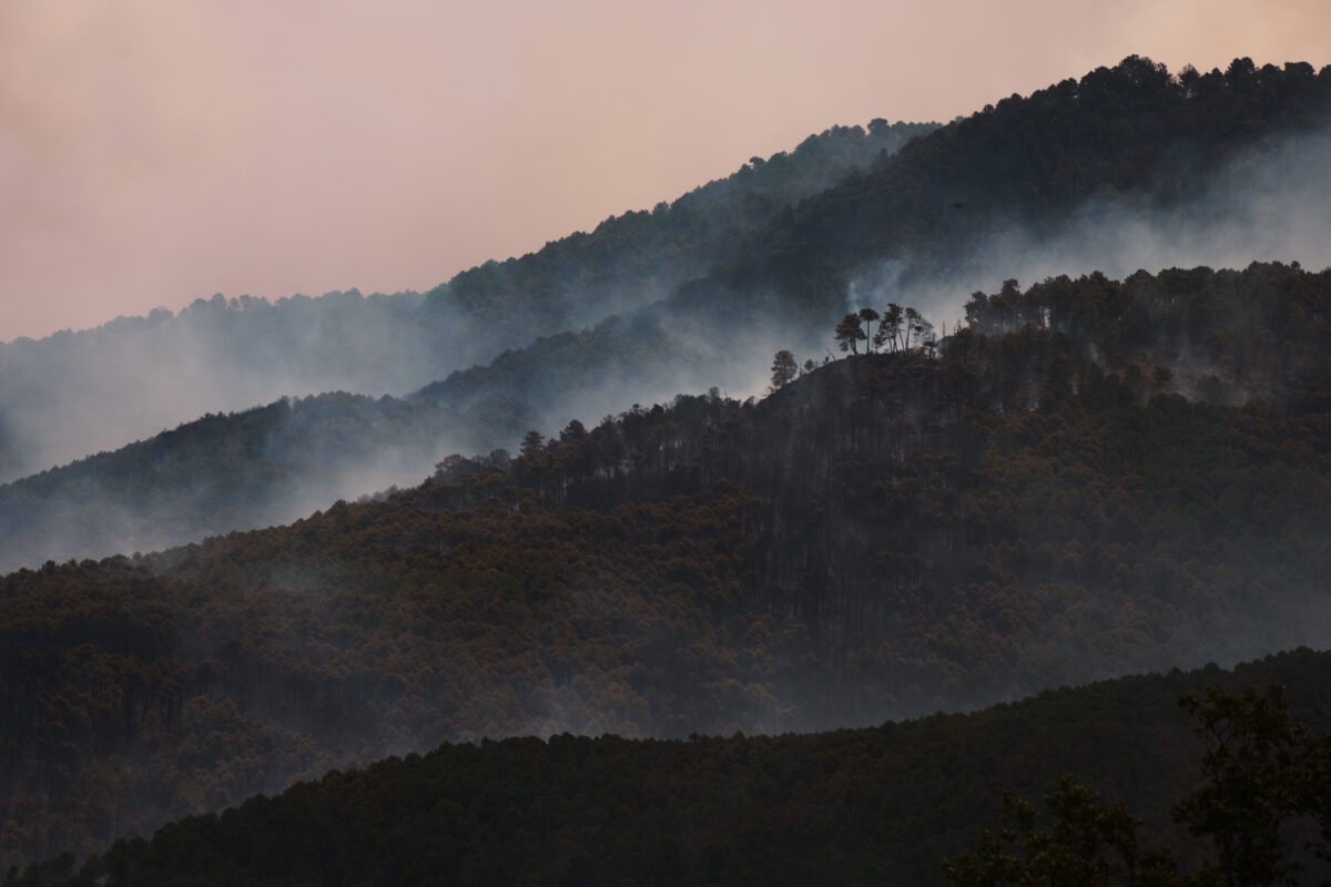 Spain, Sánchez: “150,000 hectares burnt and 13 fatalities since the start of the year” Spain, Sánchez: “150,000 hectares burnt and 13 fatalities since the start of the year”