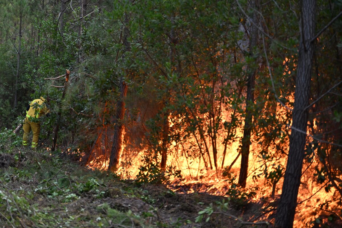 26 wildfires raging in France; situation remains complex 26 wildfires raging in France; situation remains complex