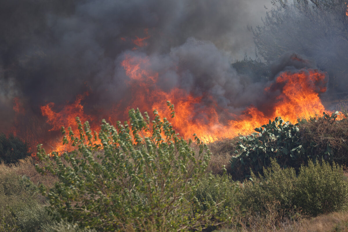 Fires: Sicily regional government declares state of emergency