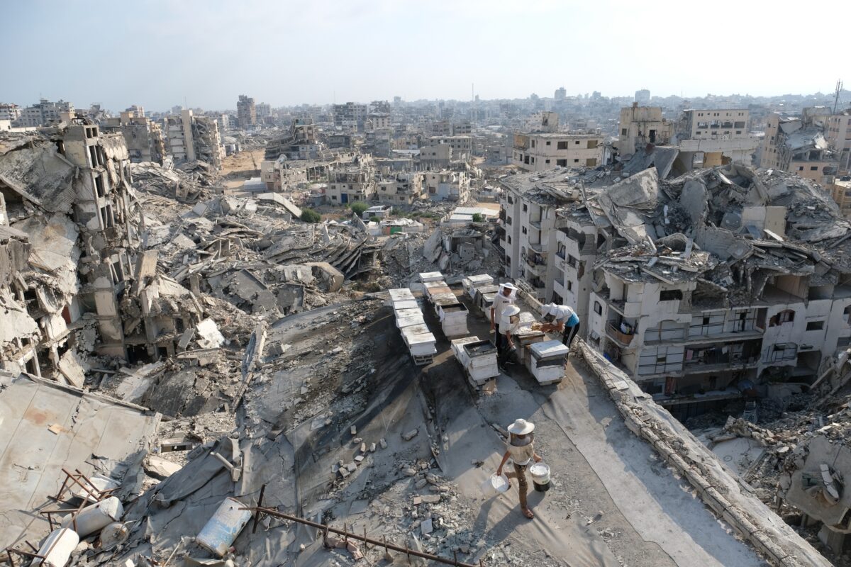 Gaza: five injured in IDF raid in the south; one child is in a serious condition Gaza: five injured in IDF raid in the south; one child is in a serious condition