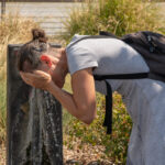 Heatwave: no red alerts in Italy; Rome and Rieti return to orange on Wednesday