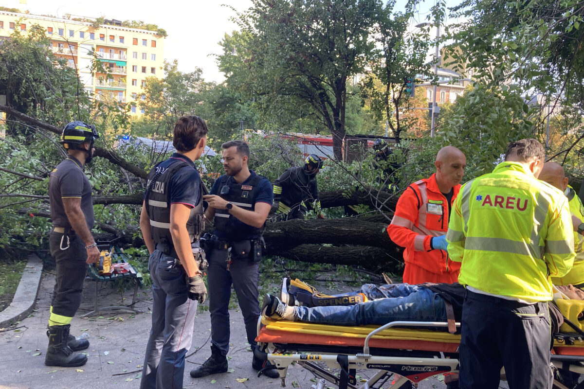 Milan: a branch falls in Piazza Risorgimento, 3 people injured Milan: a branch falls in Piazza Risorgimento, 3 people injured